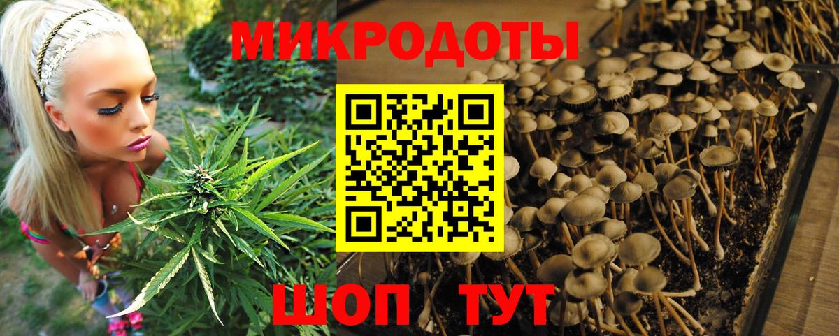 Новошахтинск  Псилоцибиновые грибы мицелий  Вход с VPN  Псилоцибиновые грибы Psilocybine cubensis 
